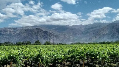 Del interior productivo se extrajeron U$S 200 mil millones