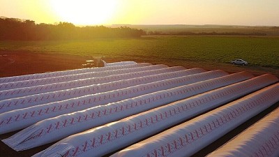 Autowarrants digitales: cómo productores agropecuarios podrán acceder a crédito con sus propios stocks