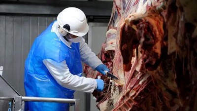 Mercado internacional de la carne: más allá de los aspectos arancelarios, las expectativas son buenas