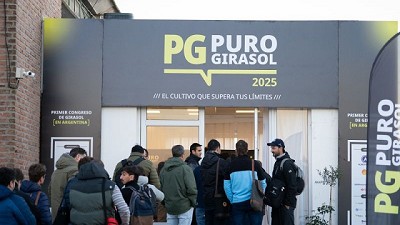 El secreto de la siembra temprana de Girasol: más rinde y mayor rentabilidad