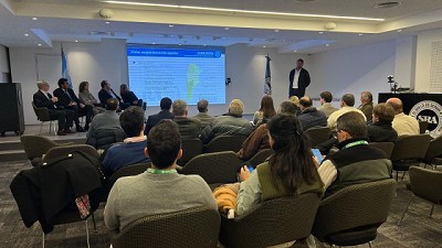 El potencial del sector forestal argentino y su lugar en la agenda legislativa