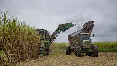 La emisión de warrants alcanzó un récord histórico en el primer cuatrimestre de 2025