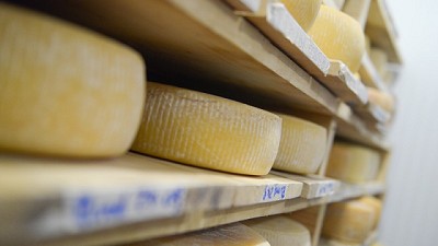 Del rebote a la recuperación: el repunte de la lechería, ante un nuevo ciclo del sector Lácteo