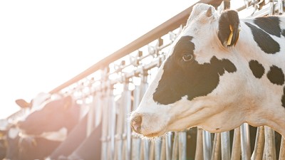 Club Lechero: Conocimiento, innovación y trabajo colaborativo