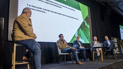 El futuro de las legumbres en Argentina: Desafíos y oportunidades en un mercado globalizado