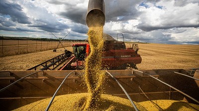 Todo lo que hay que saber para seguir exportando a Europa