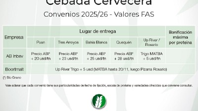 Cebada cervecera: el sudeste bonaerense produce el 50 % del total nacional y lidera las exportaciones