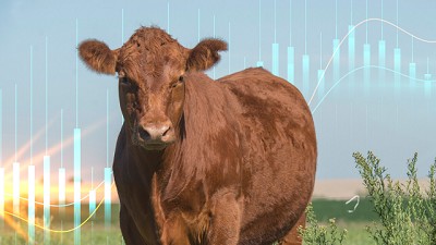 La Carne desafía a la inflación: subas estacionales, presión de oferta y señales mixtas del mercado