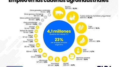 Uno de cada ocho empleos del agro proviene de la Carne vacuna
