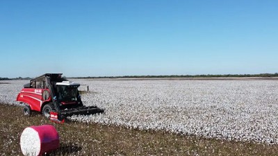 El INTA Reconquista presentará desarrollos clave en maquinaria algodonera en la Expo Maquinaria 2025