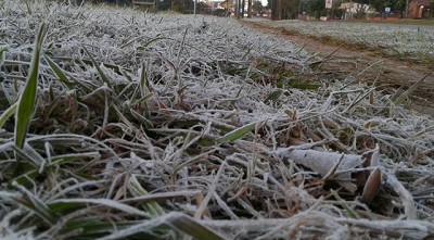 Aire frío, reservas hídricas y pocas lluvias: un combo ideal para la fina - CCA/Agrositio 