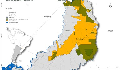 Desmonte sin pausa en Misiones: Bosques más chicos y fragmentados