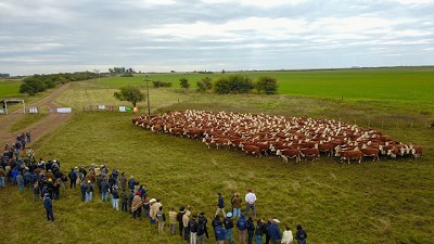 Hereford recorrió 2.500 km en una gira histórica por Argentina, Brasil y Uruguay