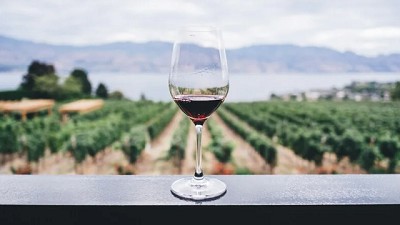 Economías regionales: el mapa productivo que impulsa las exportaciones argentinas