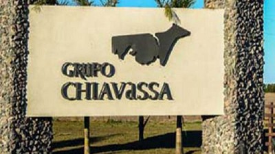 Grupo Chiavassa: el Tambo que apuesta a duplicar su producción y crecer diversificando con Cerdos