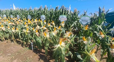 Spraytec renueva su tecnología y lanza Fulltec Oil en el Congreso Aapresid 2025