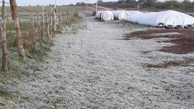 Heladas, aire polar y pocas lluvias: 