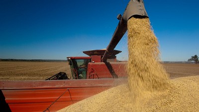 Liquidación récord del agro: en junio ingresaron más de USD 3.700 millones