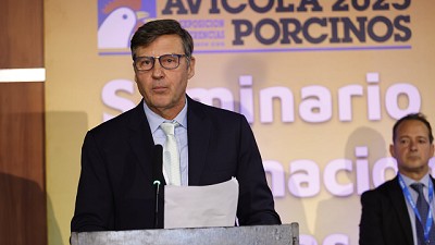 La Avicultura Argentina Celebra su Día: Pilar Económico, Social y Alimentario con Desafíos y Potencial de Crecimiento