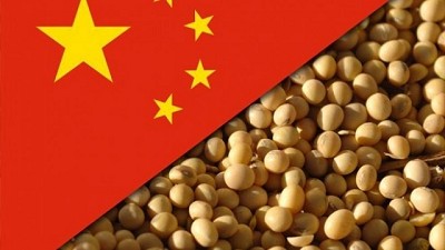 China dinamiza el mercado de Soja y enciende los precios en un mundo complejo