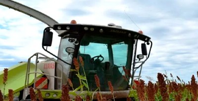 Bolivia articula la primera cadena del sorgo y proyecta ampliar el área de siembra