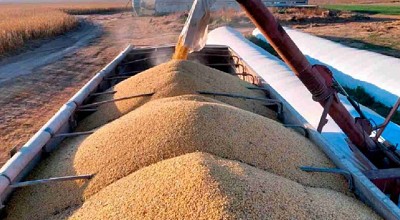 Soja en picada y tensión comercial: el mercado arranca la semana con fuertes caídas