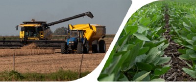 Perspectivas para la campaña 25/26. Situación global, logística y márgenes por región