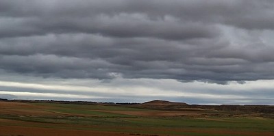 De heladas a humedad extrema: cambio de signo en la anomalía térmica - CCA/Agrositio