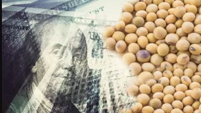 El intervencionismo (de allá y de acá)  tira abajo los precios de la Soja, por Manuel Alvarado Ledesma - Agrositio