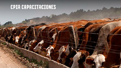 Seminario: Engorde a corral