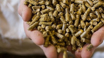 Innovación en nutrición animal: ingredientes saludables y sustentables para una producción eficiente