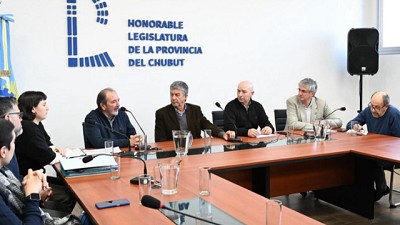 Modelo Ovino patagónico: más carne, lana de calidad y una propuesta para replicar