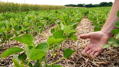 Biológicos en expansión: Syngenta proyecta un mercado de USD 20.000 millones para 2030