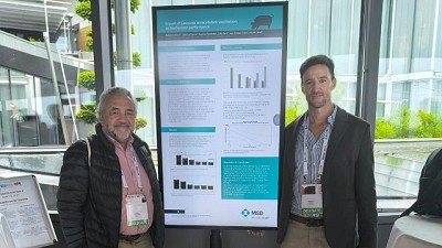 Proyecto argentino refuerza el valor de la vacunación en la producción porcina sustentable