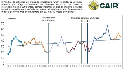 InCAIR de junio: 46,83 puntos. Leve caída de la actividad inmobiliaria rural