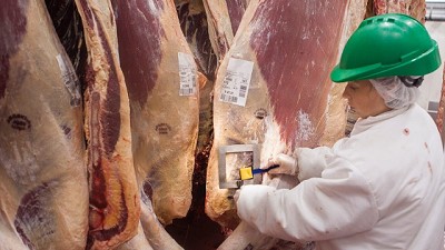 Más carne, menos exportaciones: el consumo interno impulsa al sector vacuno en 2025