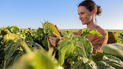 Syngenta lanza “Las otras plagas”, una nueva campaña audiovisual centrada en los desafíos del productor