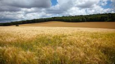 Poca agua en zonas clave: ¿cómo sigue el patrón pluvial?, ¿llueve o no llueve? - CCA/Agrositio