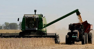 La soja se recupera en Chicago, pero persisten las presiones del mercado