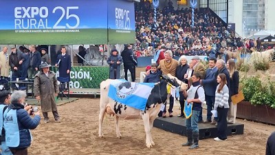 Jura Holando en Palermo: se autodefine «un tamberito» y se la jugó “para que las vea Milei”