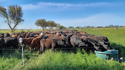 Cada gota cuenta: AguaSiempre y un sistema integral que impulsa eficiencia, producción y bienestar