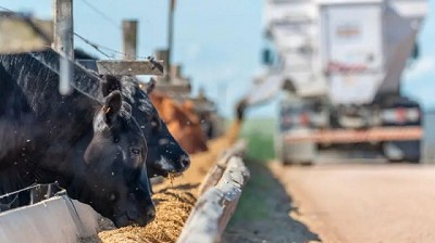 La intensificación sostiene la faena: “El negocio de transformar grano en carne llegó para quedarse”