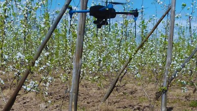 INTA Cuyo lidera el cambio: inteligencia artificial y teledetección para una Agricultura más eficiente