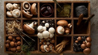 La empresa líder en Champiñones crece en tres provincias clave y busca más socios