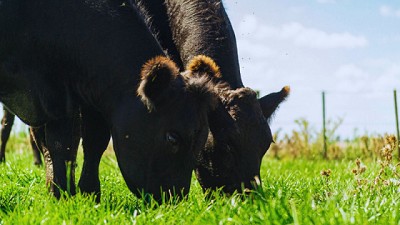 Con eje en el futuro del agro, el INTA participa del Congreso Aapresid