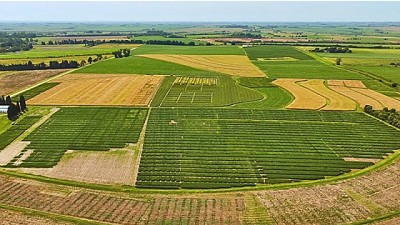 Evaluaciones de sostenibilidad, una herramienta que agrega valor