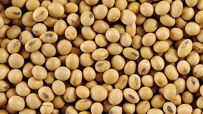 Informe del USDA impulsa la Soja, pero hunde al Maíz por alta producción