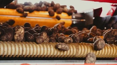 Una de las 3 grandes del mundo de las Papas desembarca en Argentina: Lamb Weston arranca en MDP