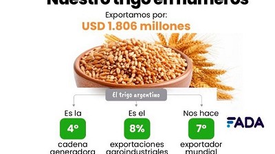 En Argentina, 6 de cada 10 dólares vienen de la agroindustria