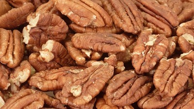 Argentina logra apertura del mercado de Israel para exportar nuez pecán sin cáscara